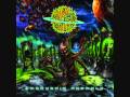 Rings Of Saturn - Embryonic Anomaly 