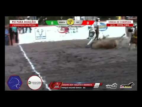 Marreta o Cavalo é De Touro Ganha Segundo Desafio Dessa Do Jack Holland Foi o Desafiado..