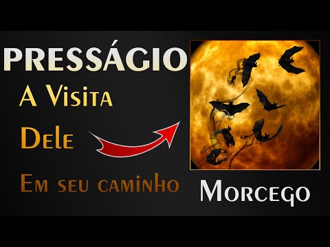 🏡 Bat - What message did it come to convey to us?