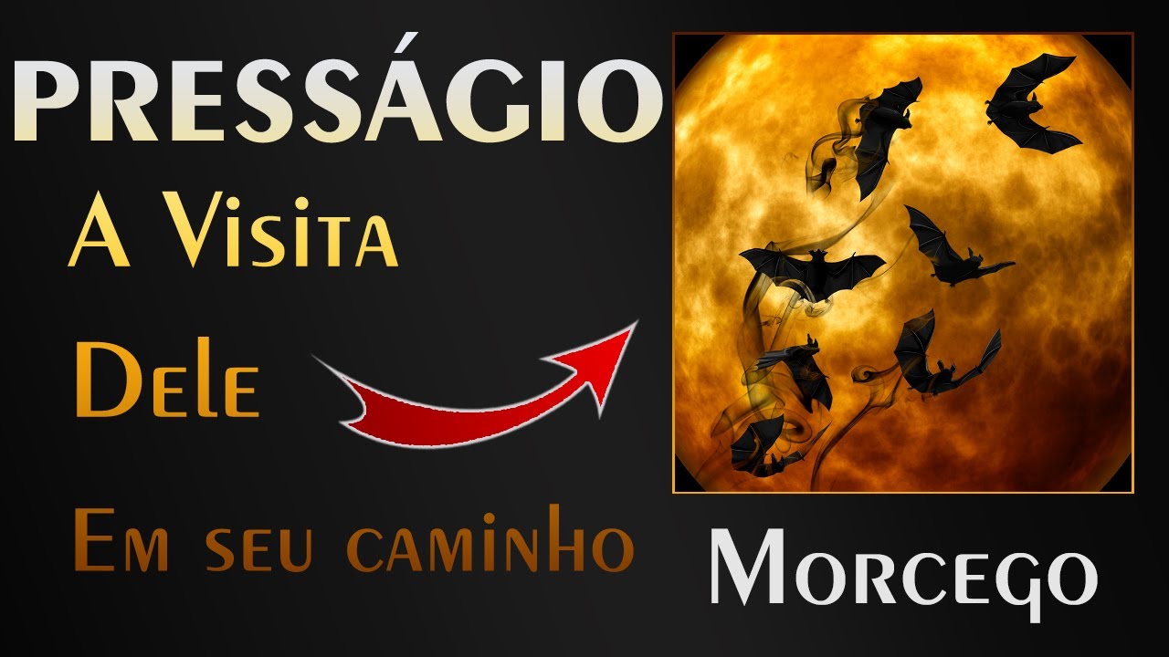 🏡 Morcego - Qual a Mensagem que ele veio nos transmitir