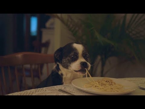 MILKK - "All to Myself" (Official Video)