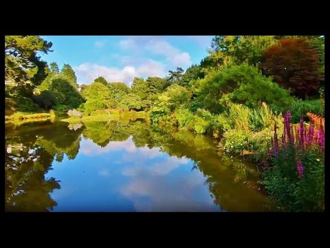 Marwood Hill Gardens North Devon