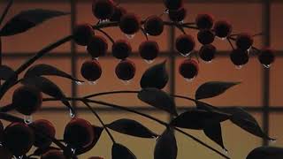 minnie riperton ⋆ baby, this love i have ✦ slowed ⋆ reverb