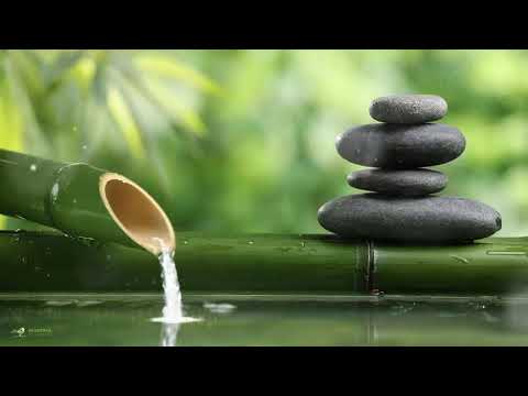 Música relajante con los sonidos de la naturaleza Fuente de agua de bambú