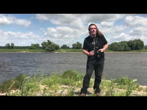 Wasted On The Way (cover)