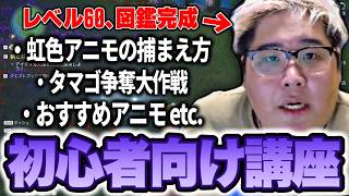 初心者向けにアニモを効率的にプレイする方法を伝授する恭一郎【アニモ】