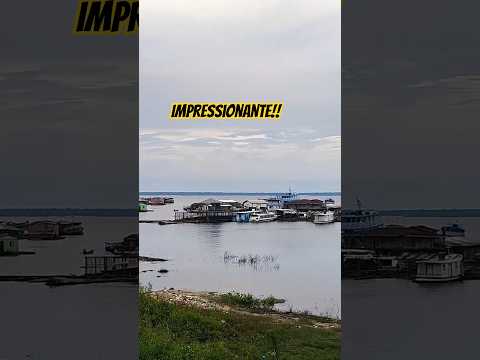 Só vendo até o fim para entender...