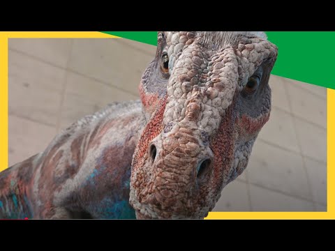🦖 Dex’s Epic Swim Challenge! Outrun the Lizard Dino Raptor... or Be Eaten! | Dinosaurs for Kids