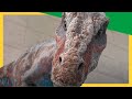 Dex S Epic Swim Challenge Outrun The Lizard Dino Raptor Or Be Eaten Dinosaurs For Kids