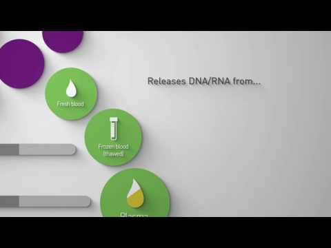 Arcis DNA Sample Prep Kit