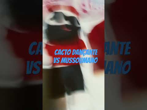 cacto dançante vs mussoumano