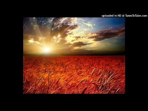 Caater feat. Anaconda - You