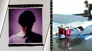 Matthew Sweet ✧ Having A Bad Dream ✧ Vinyl 💿