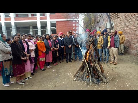 download lagu mp3 mp4 Lohri Celebration In College, download lagu Lohri Celebration In College gratis, unduh video klip Lohri Celebration In College