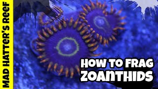 The Best Way To Frag Zoanthids