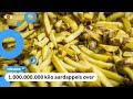 Aardappelboeren in de problemen: 'Eet wat vaker friet'