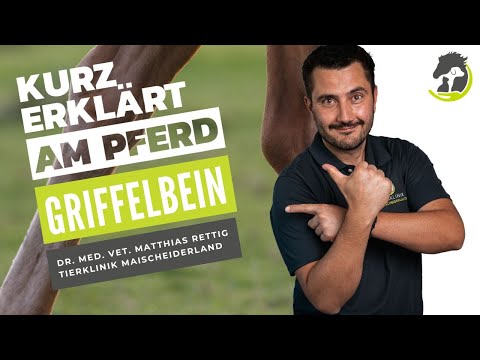 GRIFFELBEINBRUCH - OP notwendig? Kurz erklärt am Pferd!