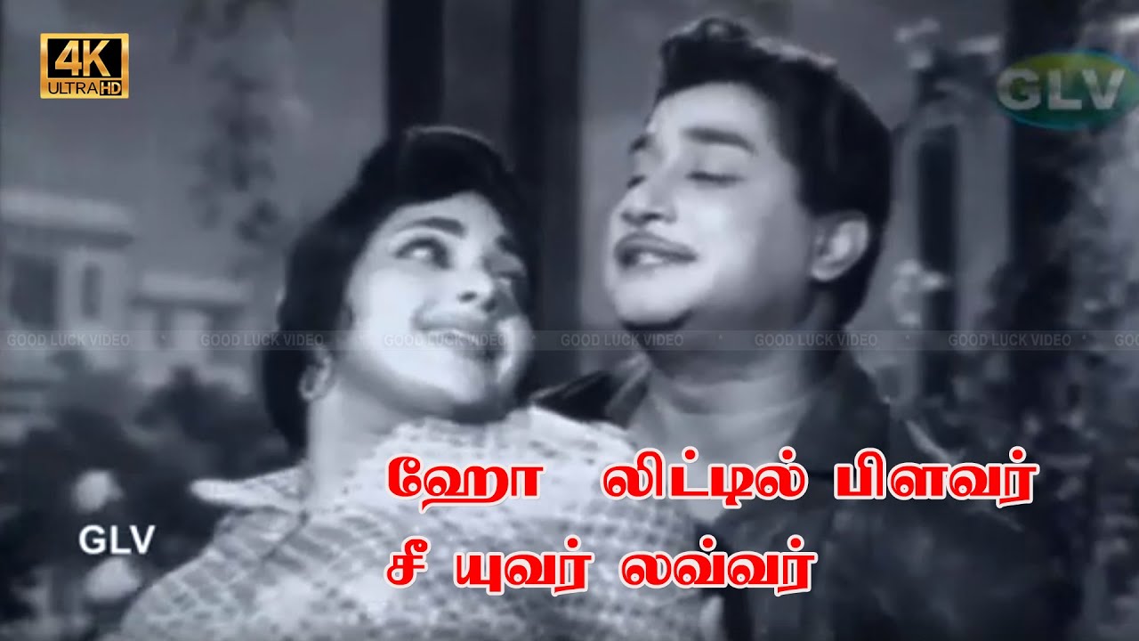 O Little Flower Song Lyrics | Neela Vaanam | T. M. Soundararajan