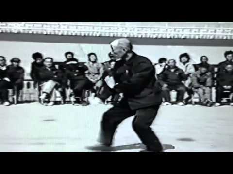 Hsing Yi Chuan   12 animales