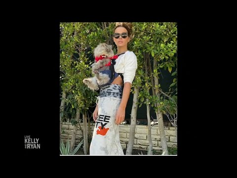 Kate Beckinsale Loves Dressing Up Her Cats