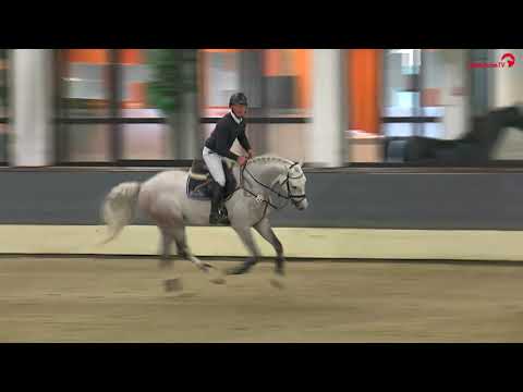 Hengststation Maas J. Hell - Uston