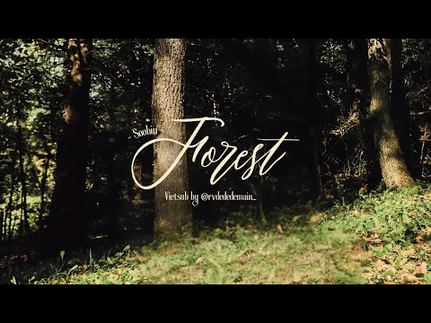 [VIETSUB] « Forest (숲) » - SOOBIN's Cover | Original: Choi Yuree (최유리)