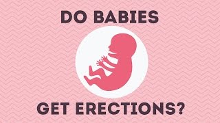 Weird Pregnancy Facts