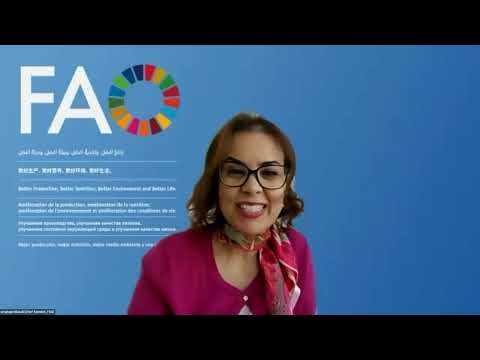 Enabling food and water security for all through circularity and collaboration - SIANI