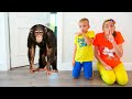 Vlad And Niki Really Want To Have A Pets