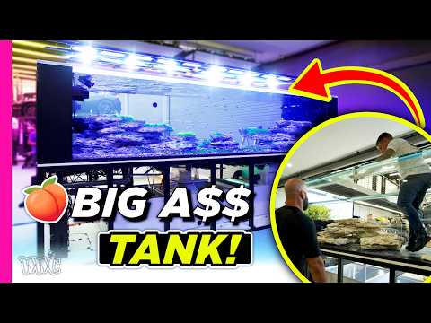 What It Takes to Set Up a 1500G Super Tank