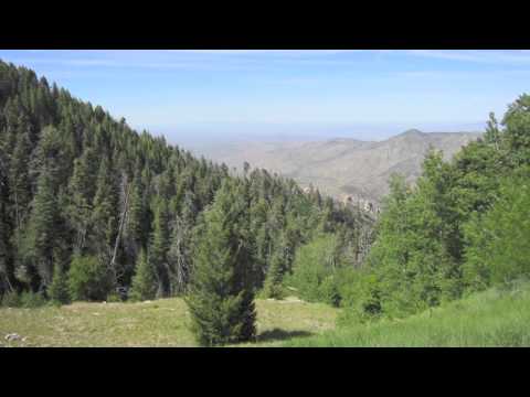 Aftershock Presents: "The Stand" Youth Camp (Tucson, AZ)