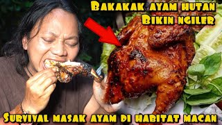 Download lagu EAT DELICIOUS JUNGLE CHICKEN mp3 Download lagu EAT DELICIOUS JUNGLE CHICKEN mp3
