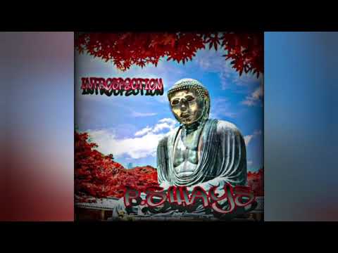 P.Sways - Introspection ( DJ Ronsha & G-Zon Boombap Show ) links to show Below ! 🔥👇