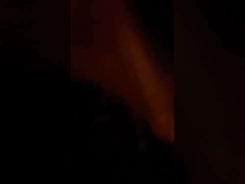 Mc gordin-Biz ta na moda