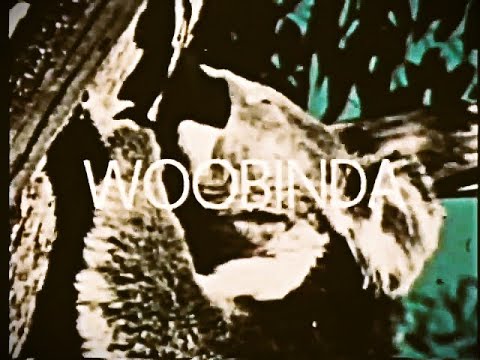 Woobinda Animal Doctor S01E01 Not My Kind of Country (1969)