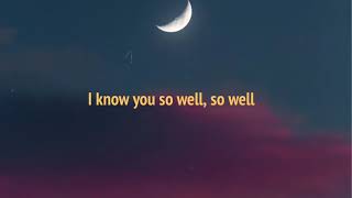 xxxtentacion - Jocelyn Flores - i know you&#39;re Somewhere (lyrics)