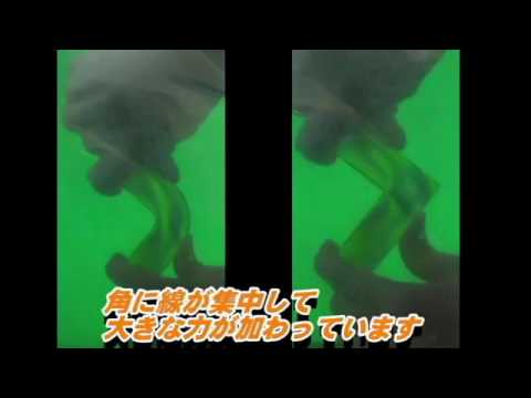 平成28年度補助教材動画コンテスト①　見えない力を見る技術～偏光板の不思議～
