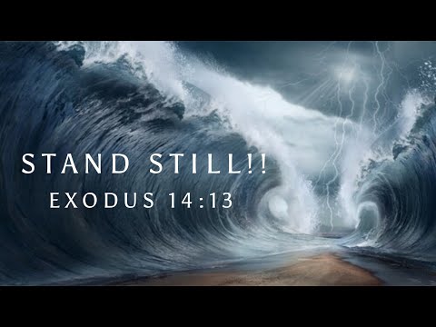 STAND STILL 👑 MY EAST WINDS ARE BLOWING!! 💨💨💨💨💨