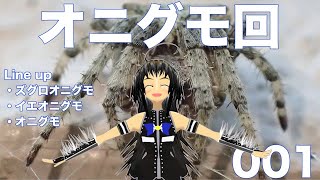 No.001 身近なクモを紹介します