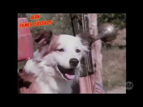 Os Saltimbancos Trapalhões 1981  - Tvrip Sbt