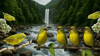 Download lagu Terapi burung pleci | pancingan burung pleci #pleci #terapiburung #terapiburungmacet #terapipleci mp3