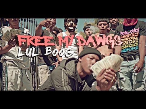 Lul Boog - Free My Dawgs | SHOT BY Cuzzo Shot This @Dahoodnerds - (Official Music Video)