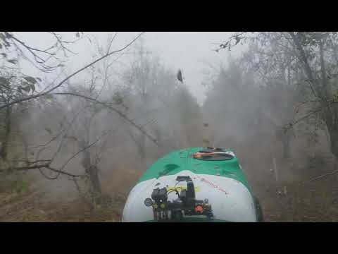 Tratament efectuat cu SERVOPLANT T2032