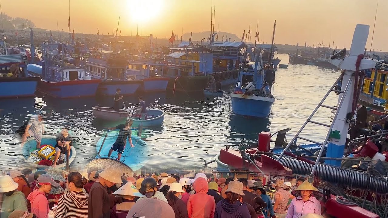 Cảng Cá Tràn Ngập Biển Người - Cảng Cá Nhộn Nhịp Mỗi Sáng