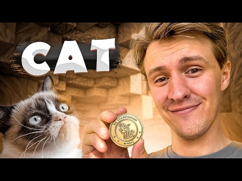 Solidarity Rap Remix - CAT 🐈 (Minecraft Clip) [prod. Bee]