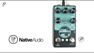 Video thumbnail for NativeAudio Wilderness Delay V1.5 by Pedal of the Day