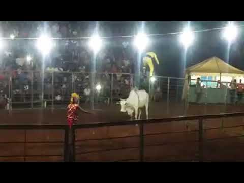 O cara e um ninja dos boi