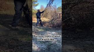 Burning trees and brush in the back yard. Safely of course!