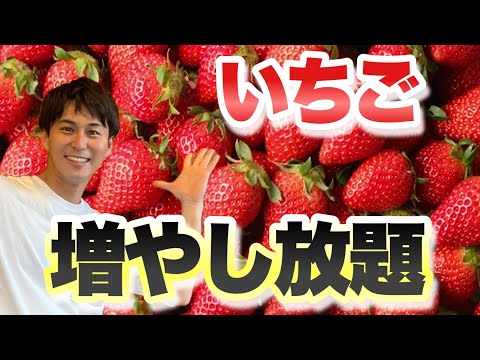 園芸 イチゴタワーの作り方は?