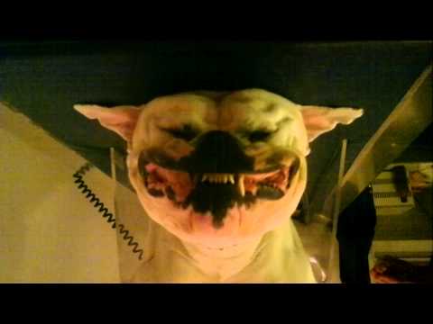 ugly Dog kjell Sleeping